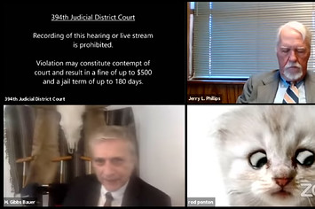 zoom cat lawyer