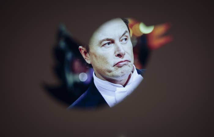 Elon Musk is shown scowling inside an art illustration of the Twitter bird logo