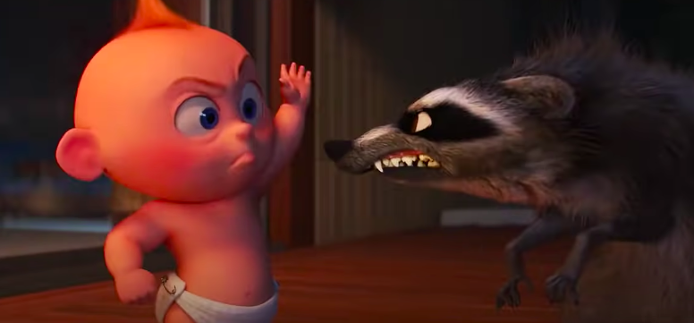 A baby smacks a racoon