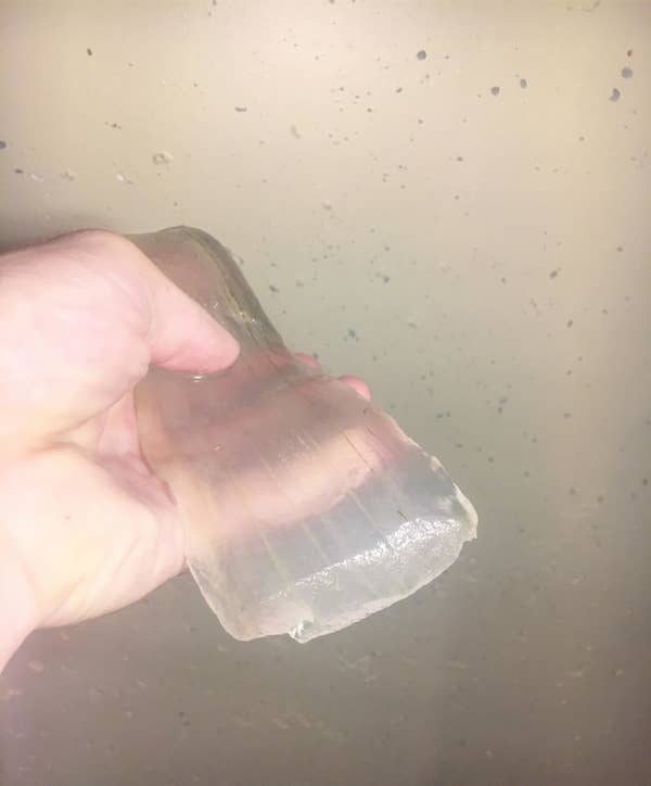 Chunk of an aloe plant