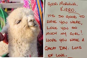 (L) Two travellers snuggling a fluffy, happy alpaca (R) Love note dad wrote daughter before work