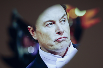 Elon Musk is shown scowling inside an art illustration of the Twitter bird logo