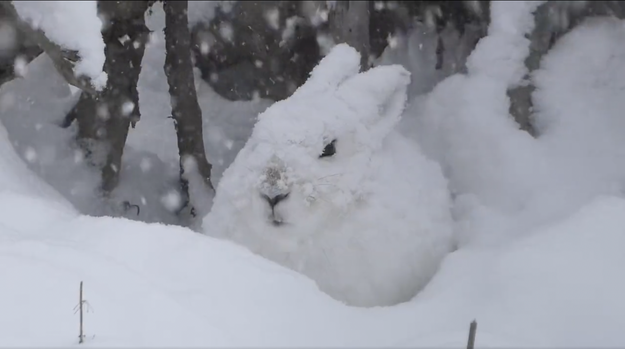 sub-buzz-1571-1670813008-10. sub-buzz-1571-1670813008-10.