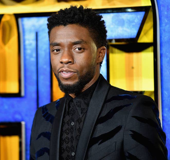 Chadwick Boseman on the red carpet for black panther