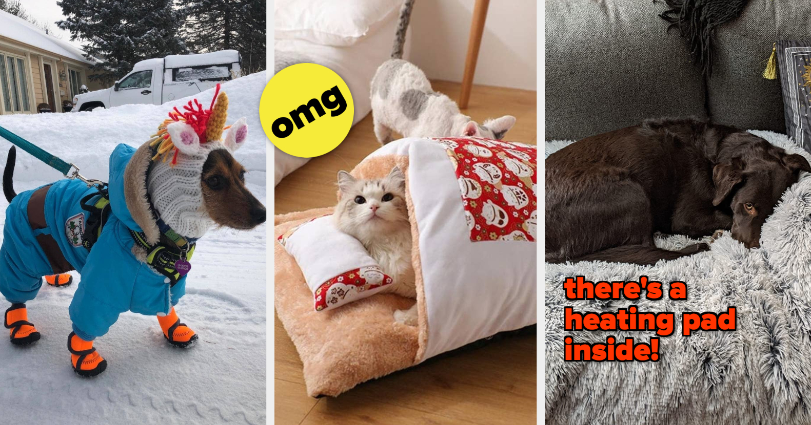 Don't Forget About Your Fur Baby — Here Are 29 Products To Keep Them Warm This Winter