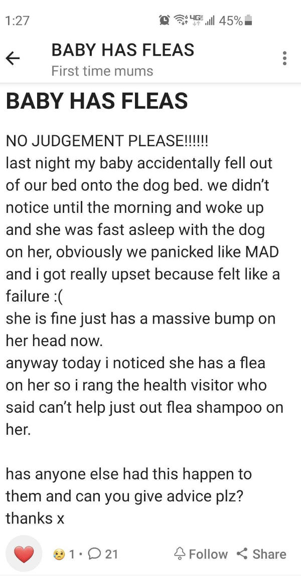 baby has fleas