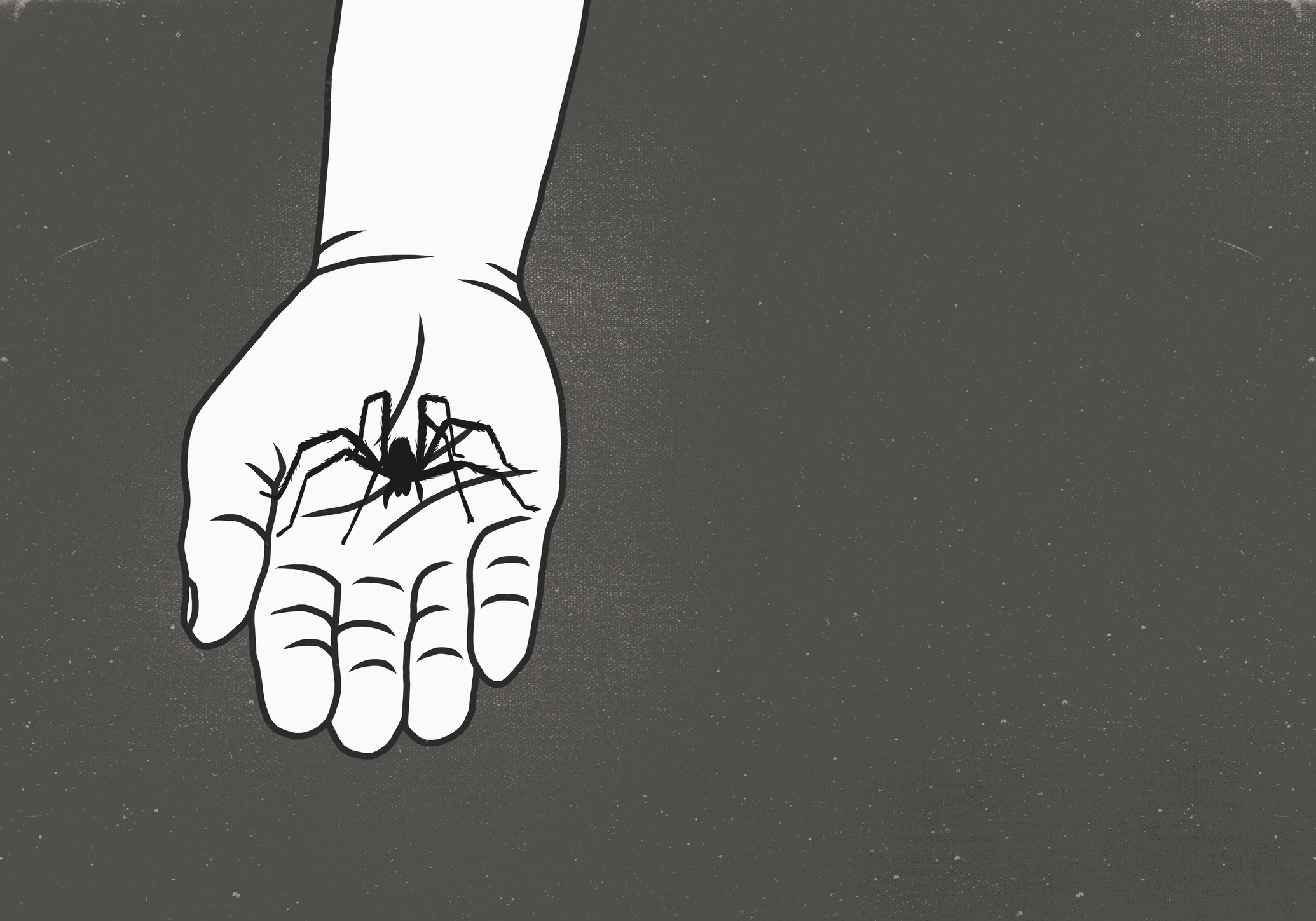 Cartoon of a spider in someone&#x27;s hand