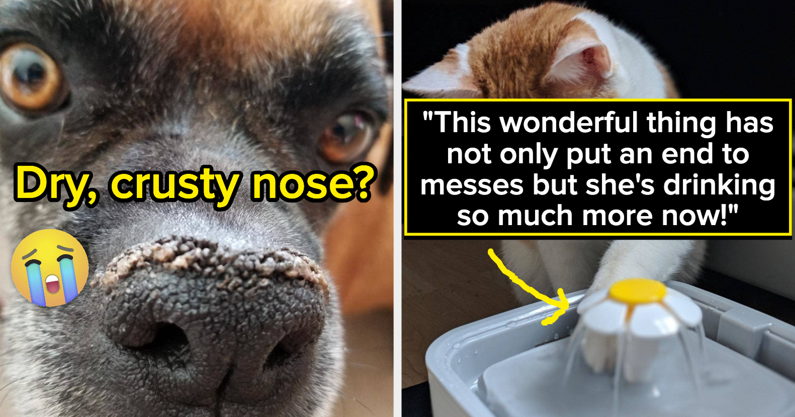 28 Products That'll Help You *Finally* Solve Your Pet-Related Problems In 2023