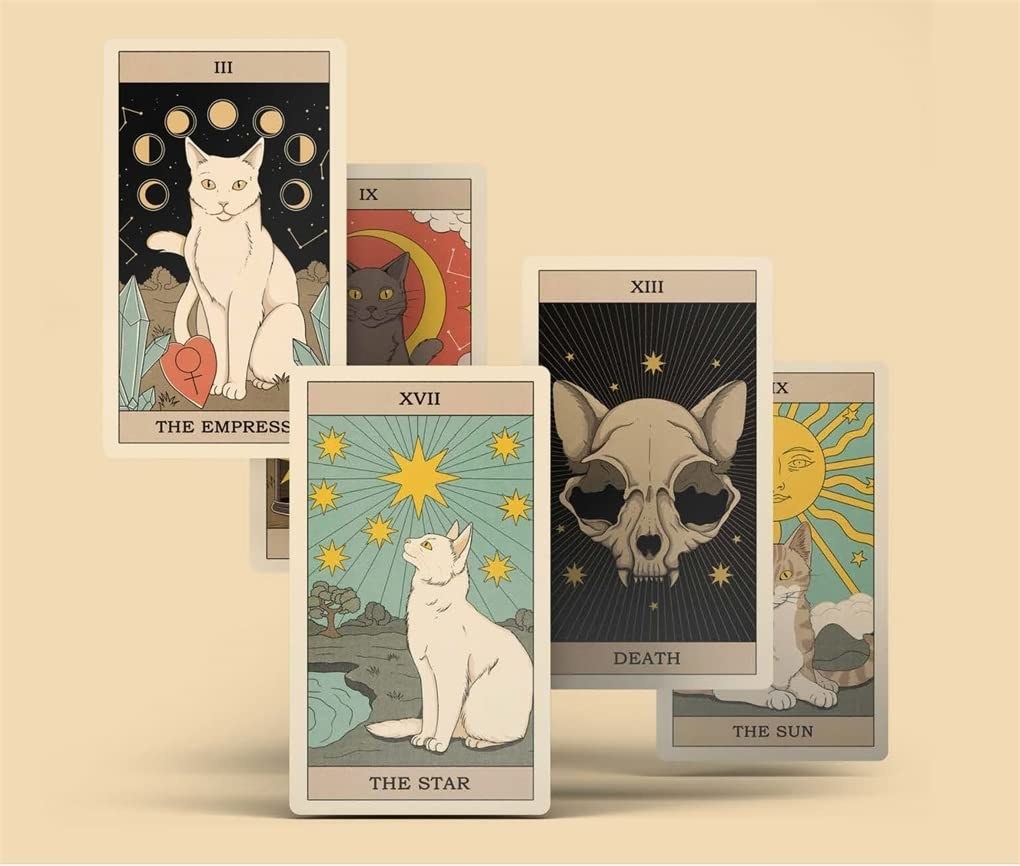cat tarot cards lined up on a blank background