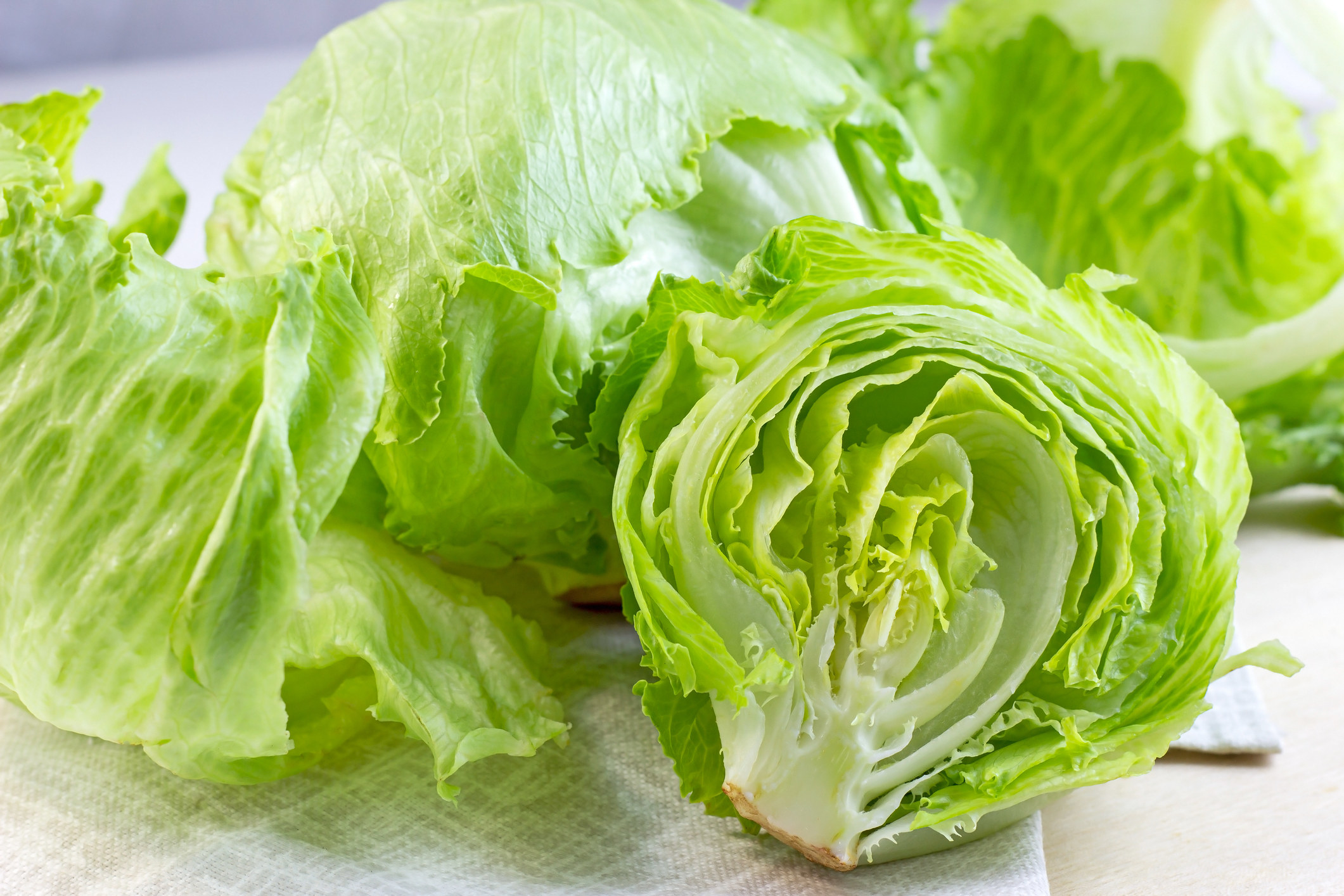Heads of iceberg lettuce