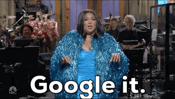 Lizzo saying google it