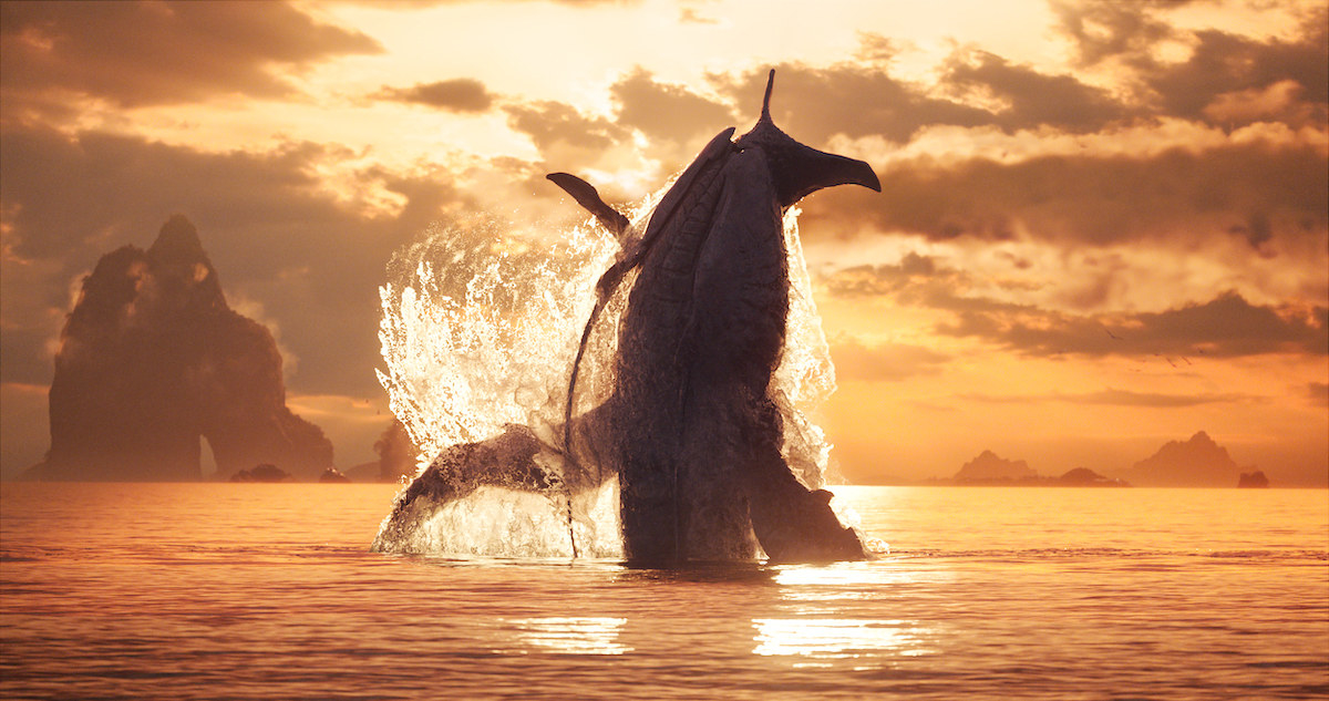 A tulkun jumping up out of the ocean during sunset