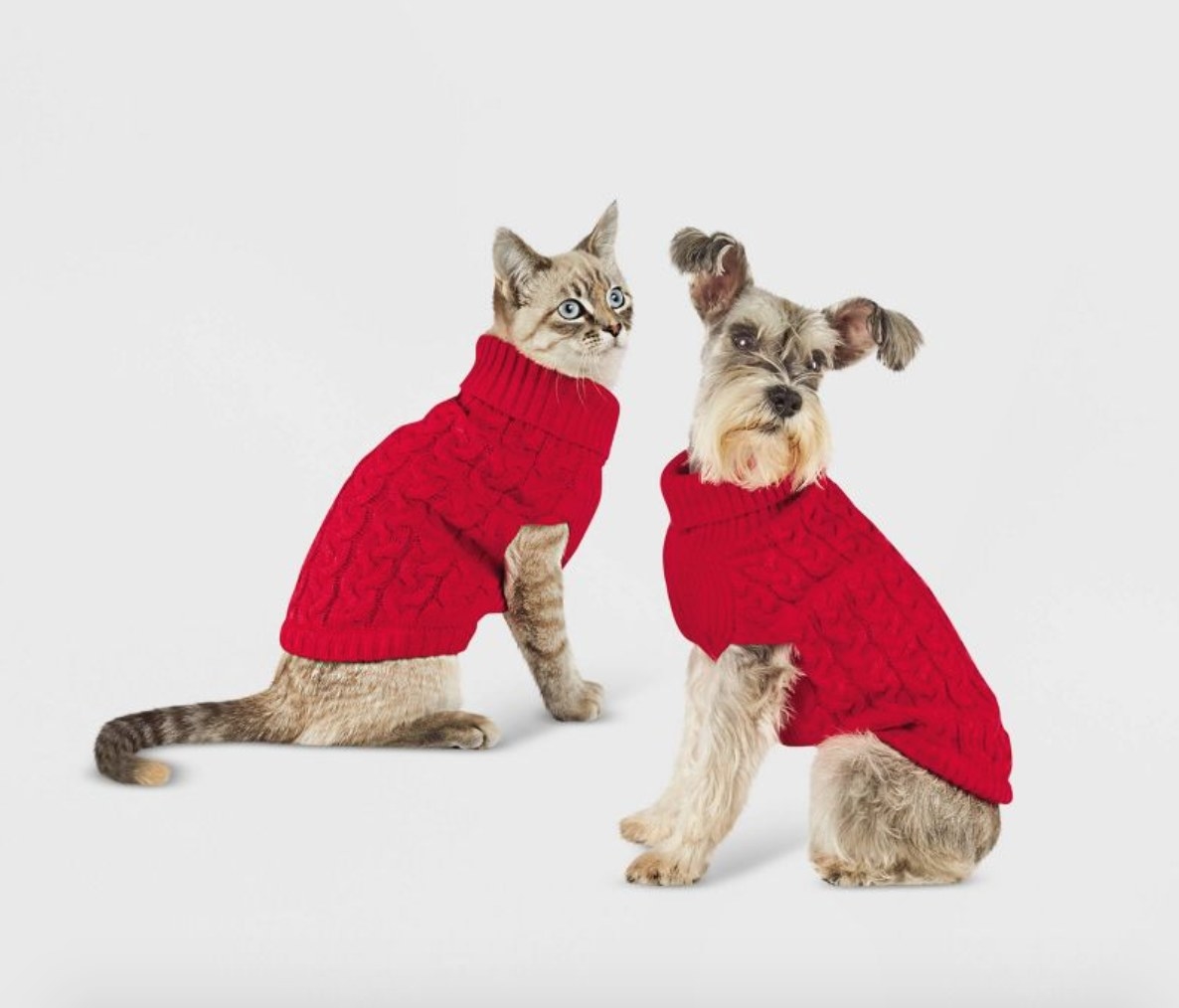 a cat and dog wearing the red sweaters