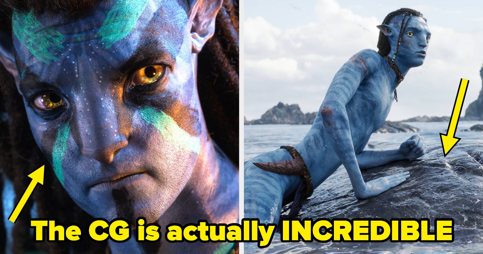 avatar 2 is worth