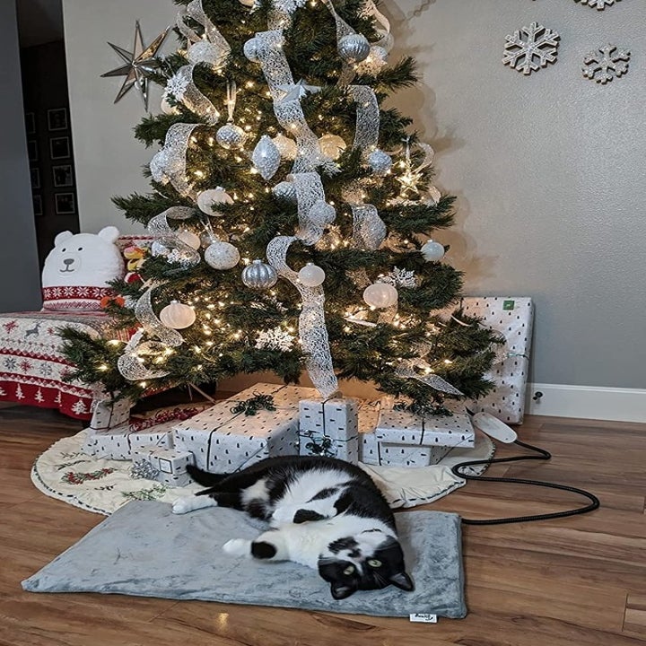 a reviewer's cat laying on the mat in front of their Christmas tree