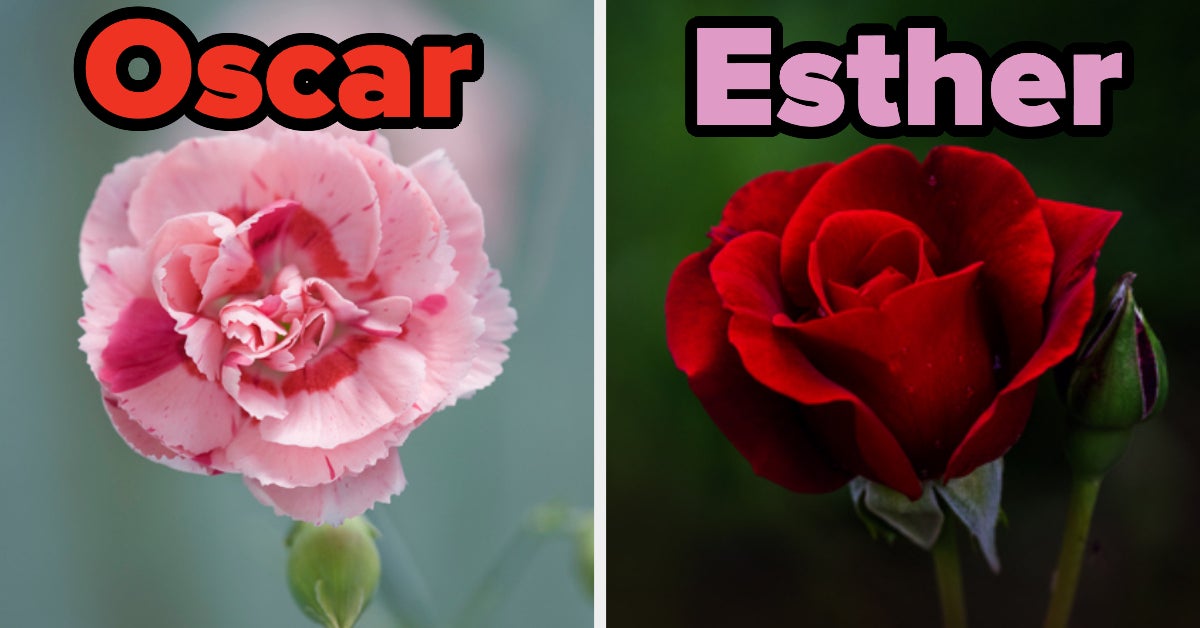 Vintage Baby Names Flowers Quiz