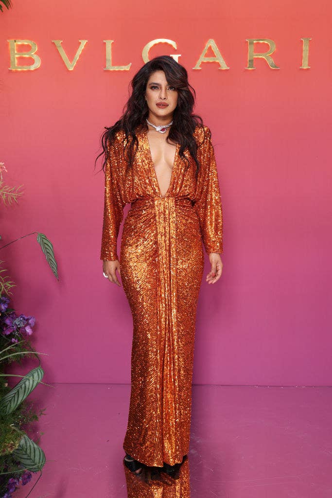 Priyanka Chopra in a shimmery long gown with an open neckline