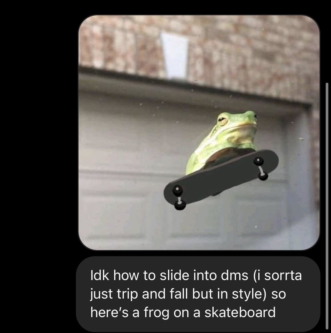 person sliding into dms with a pic of a frog on a skateboard