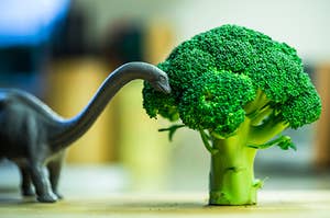 a dinosaur figurine eating a piece of broccoli