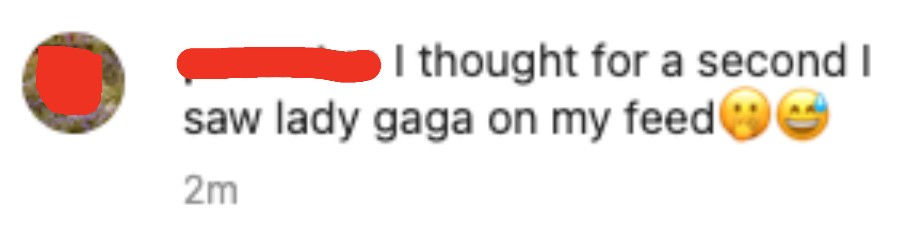 A commenter saying &quot;I thought for a second I saw Lady Gaga on my feed&quot;