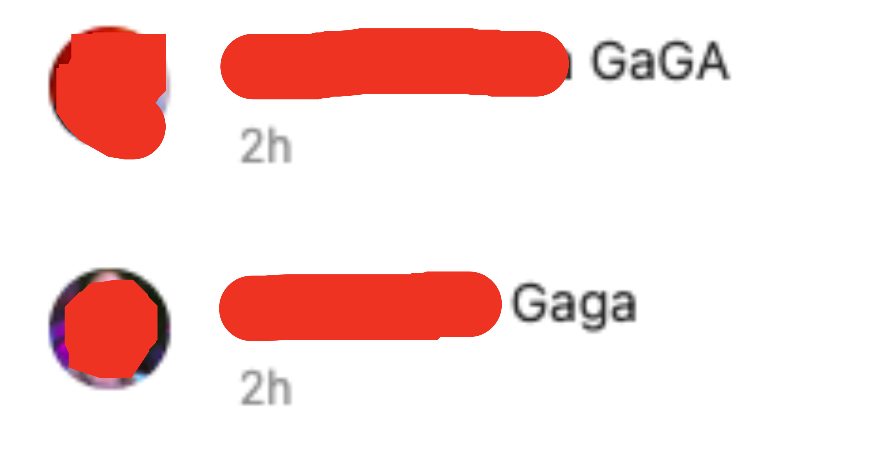 Two commenters simply saying &quot;Gaga&quot;