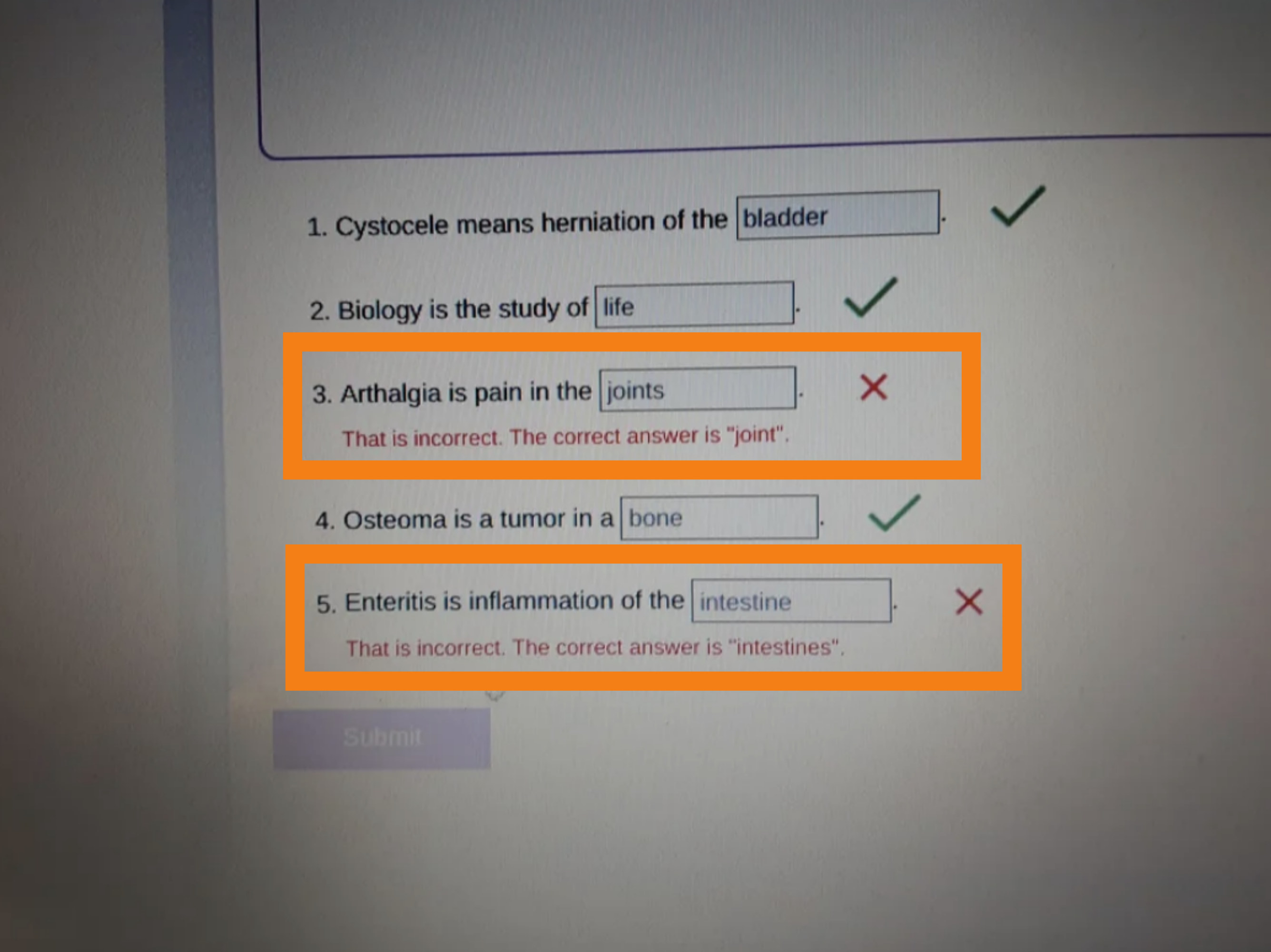 17 Mistakes On School Exams And Essays - 35