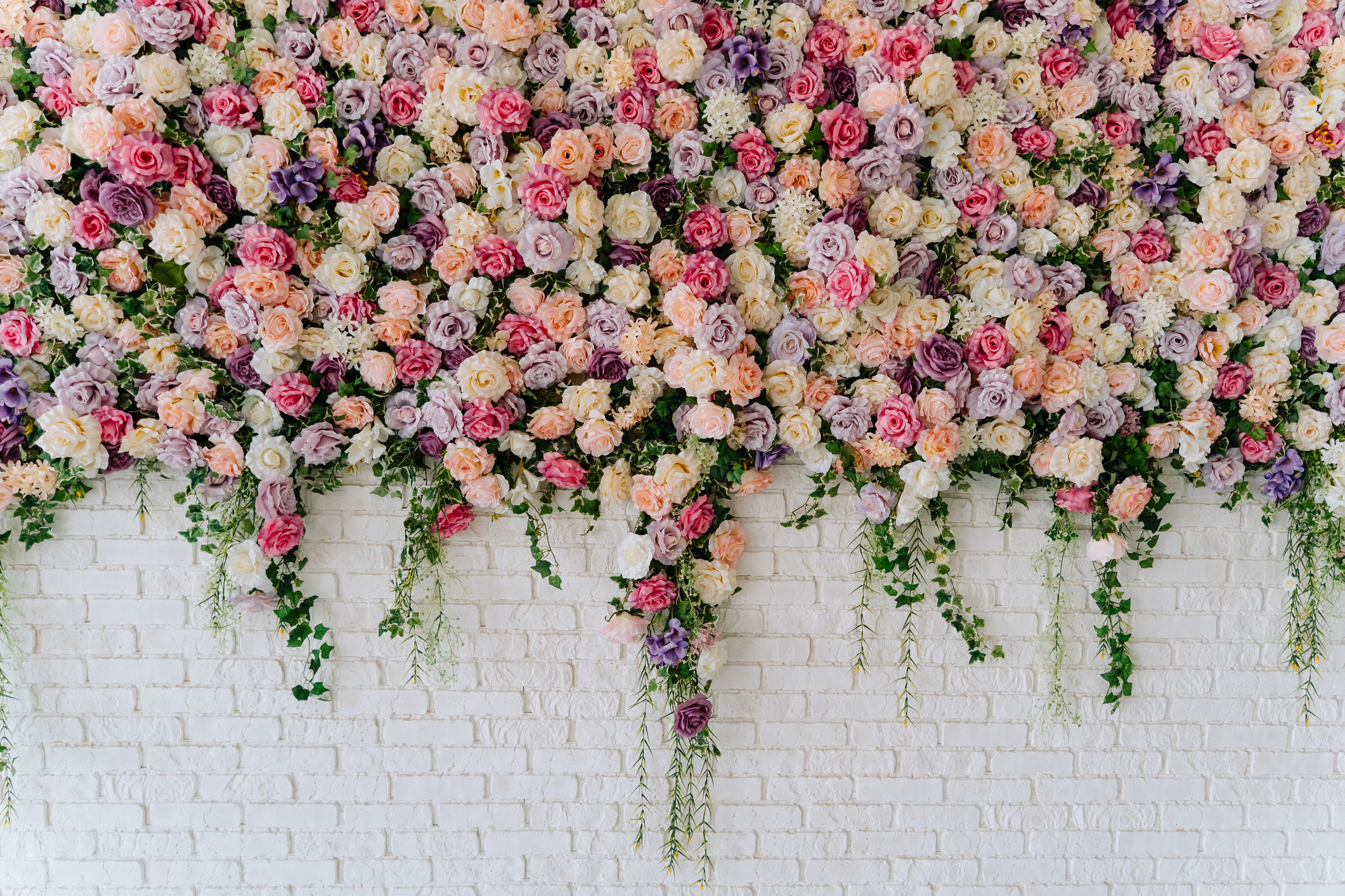 A wall of flowers