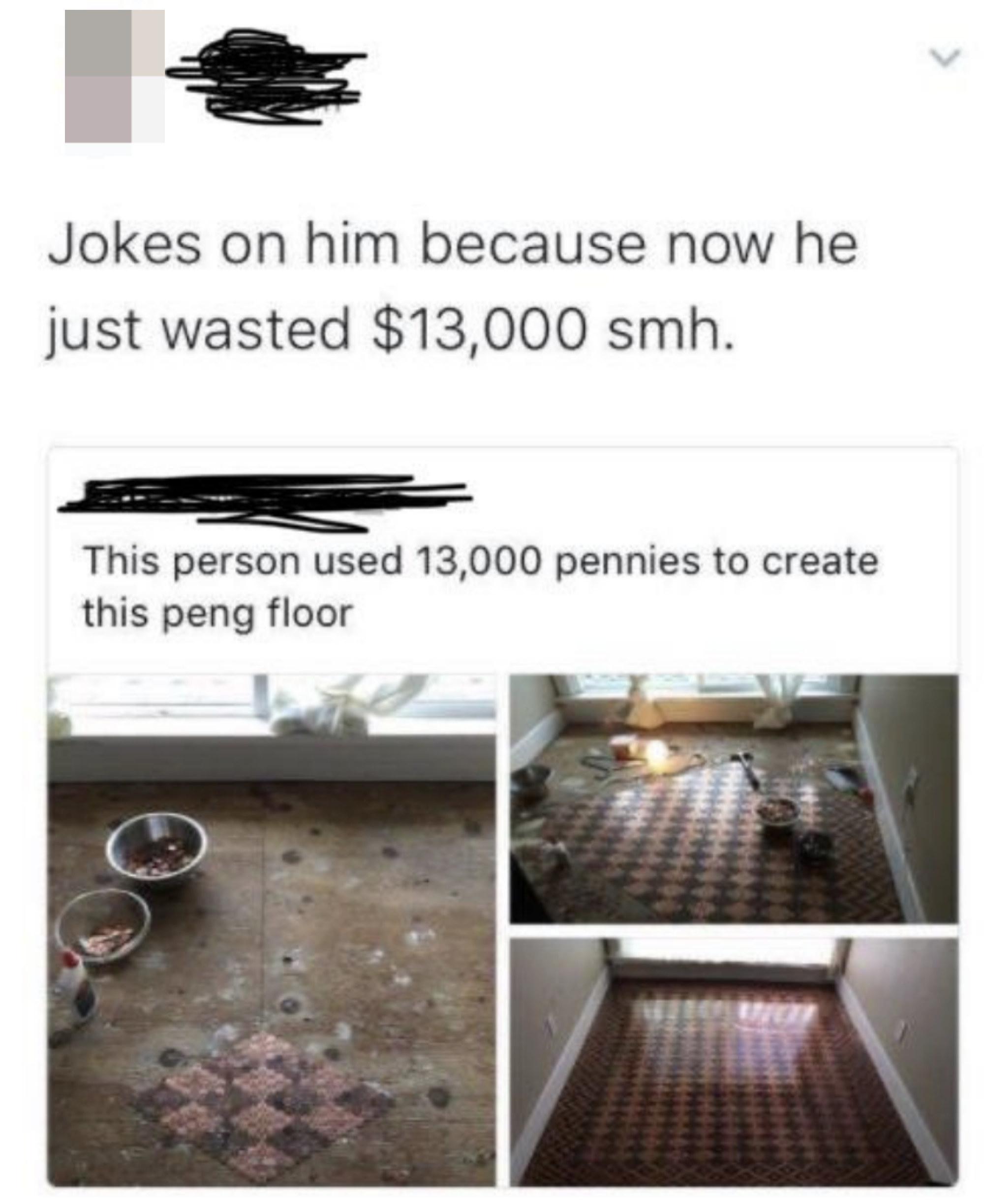 &quot;This person used 13,000 pennies to create this peng floor&quot;