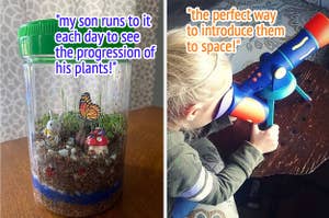 terrarium on the left and kids telescope on the right