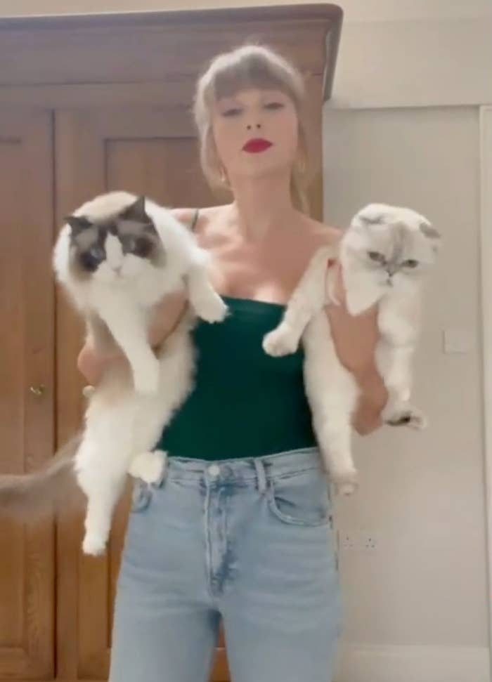 Taylor Swift with her cats