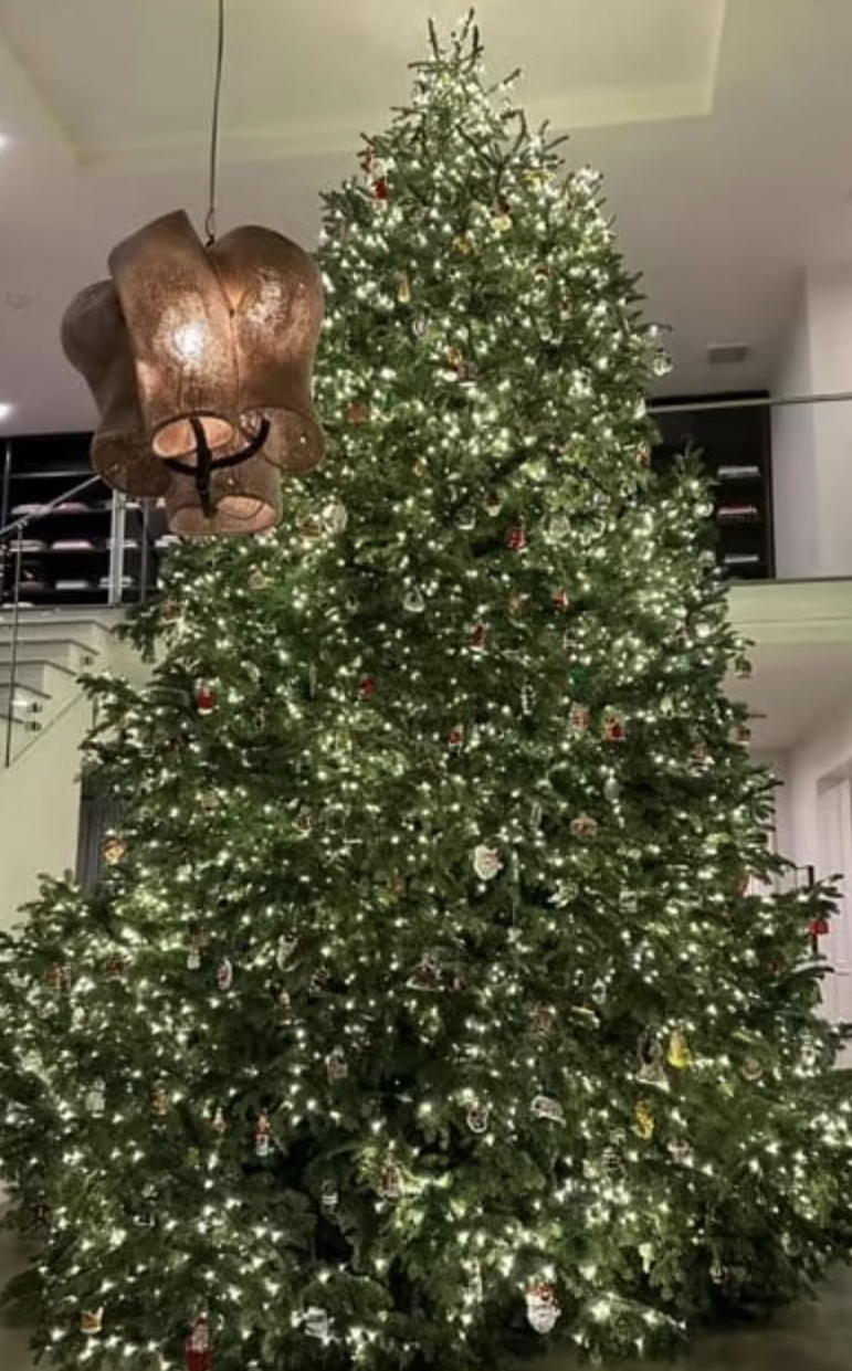 Best Celebrity Christmas Trees Of 2022