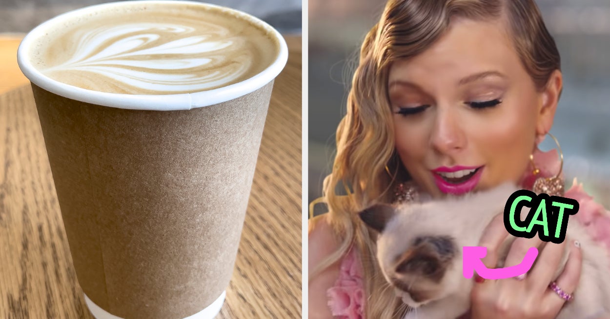 Pick Things Guess Favorite Animal Quiz