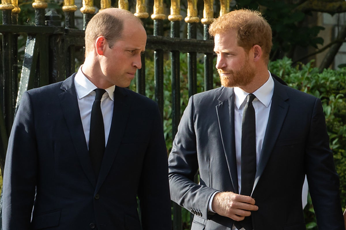 Prince Harry: Prince William's Press Team Planted Negative Stories About Him  And Meghan