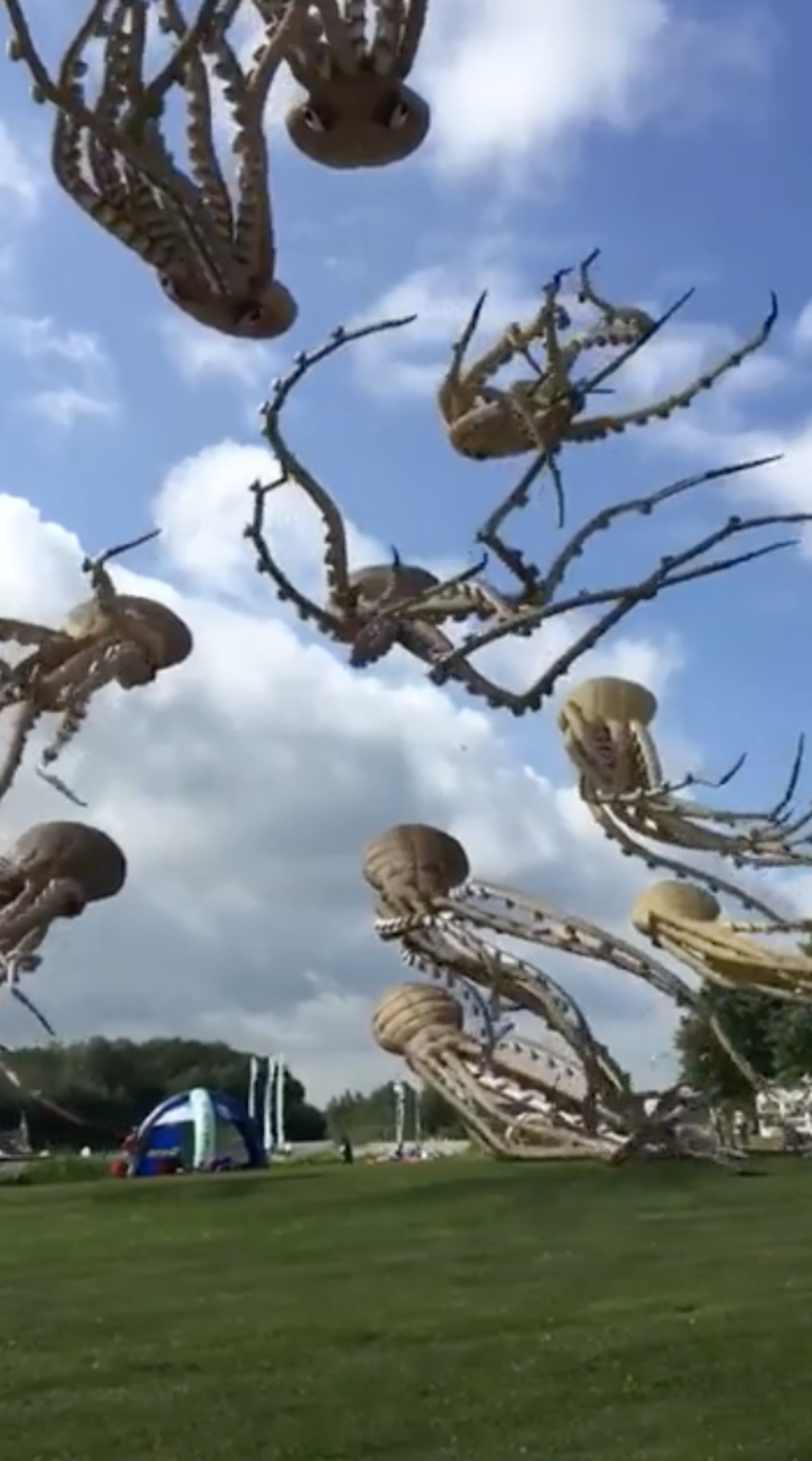 large kites in the shape of octopus