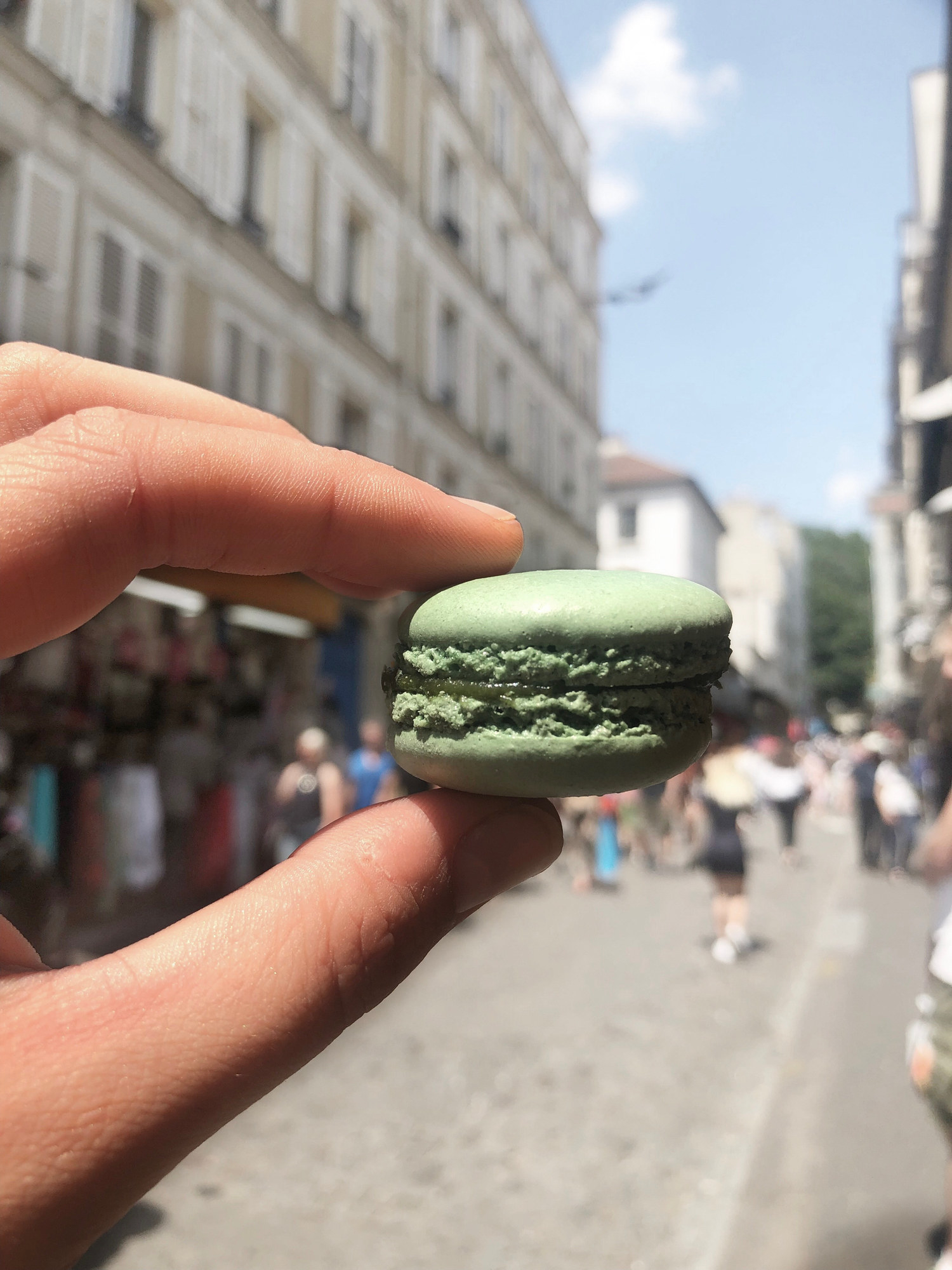 A hand holding a green macaron.