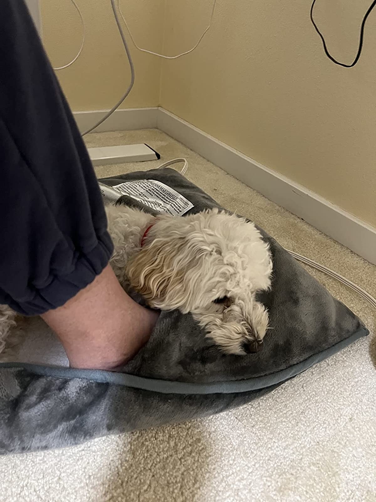 Reviewer using foot warmer and their dog laying on it