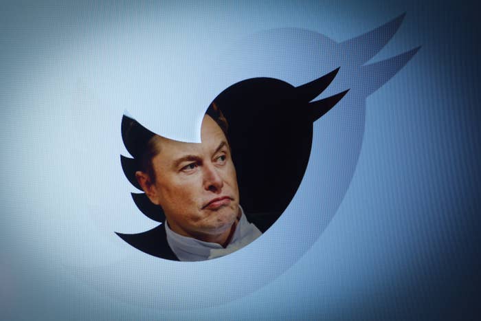 Twitter owner Elon Musk is seen with a Twitter logo in this photo illustration