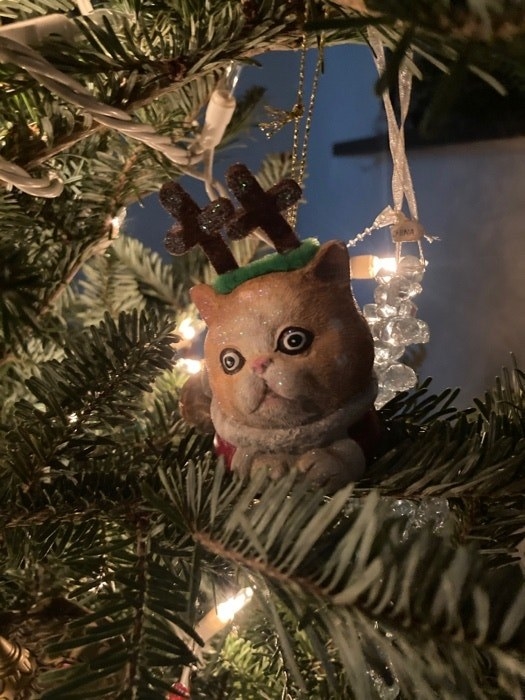 spooky cat with antlers