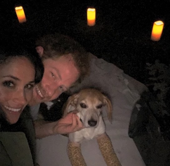 prince harry and meghan smiling outside with their dog who is named guy