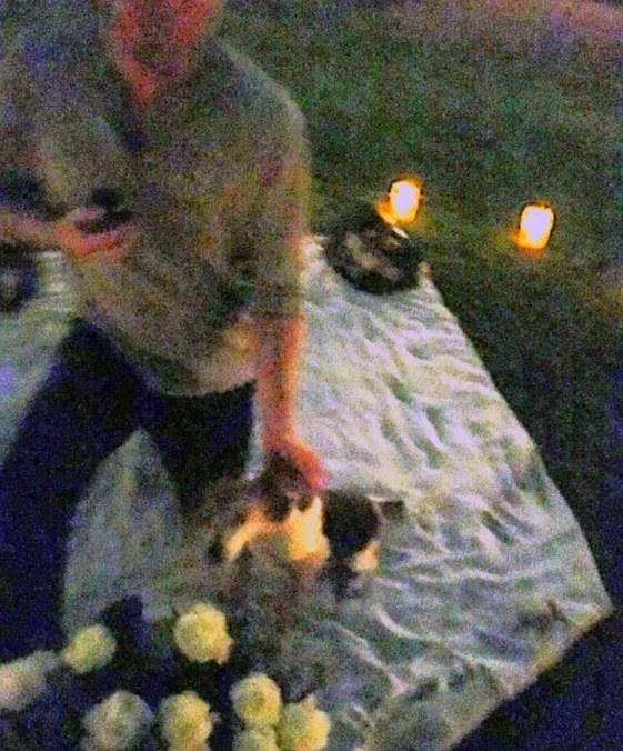 blurry picture of prince harry down on a knee on a picnic blanket proposing to meghan markle