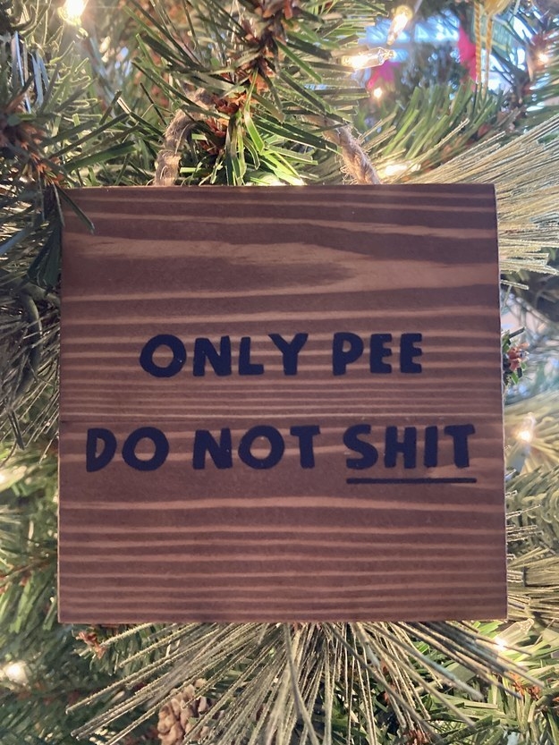 only pee do not shit written on the sign