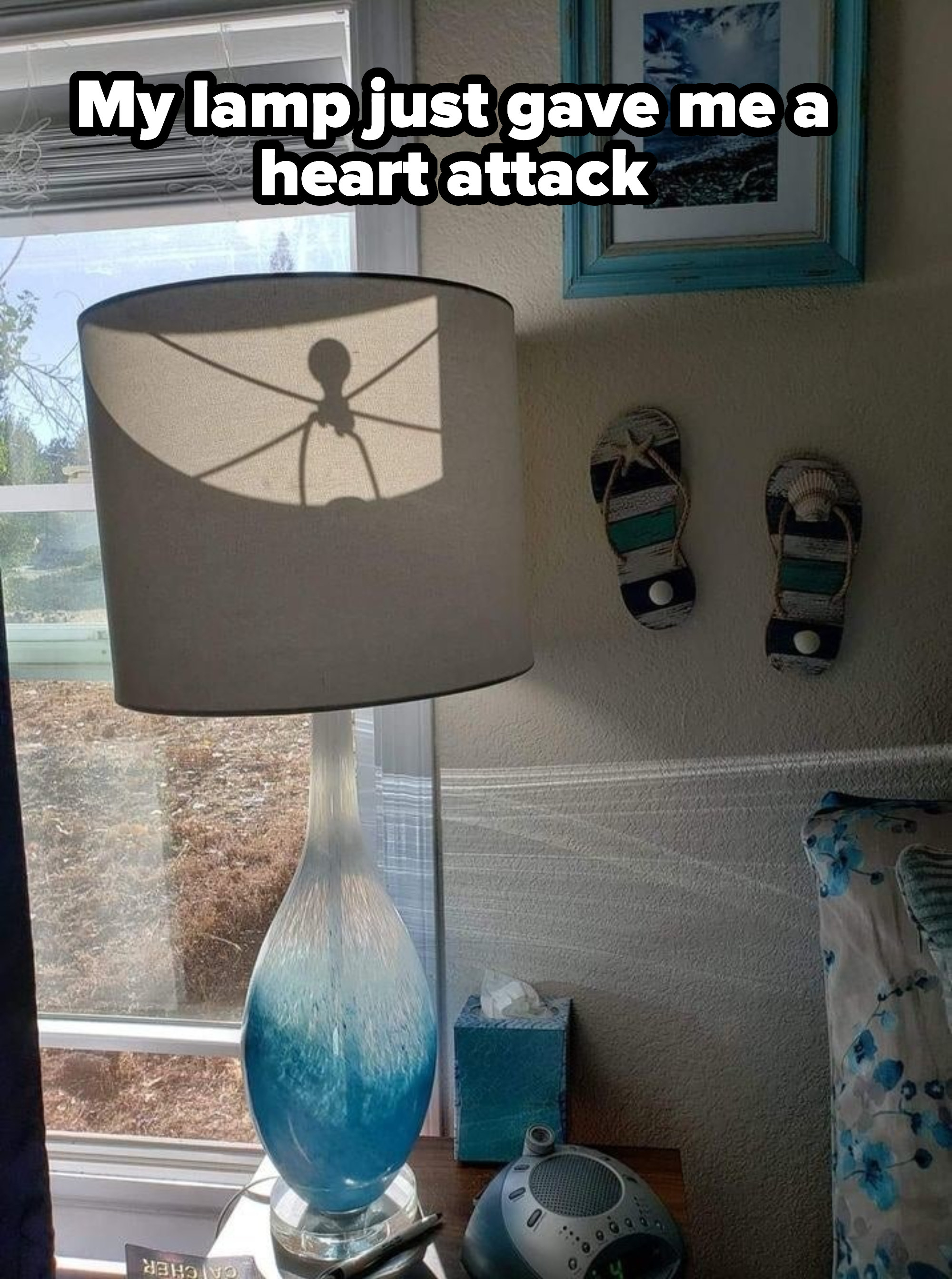 shadow on the lamp looks like a large spider