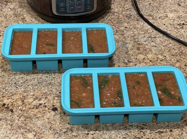 reviewer photo of soup in ice cube trays