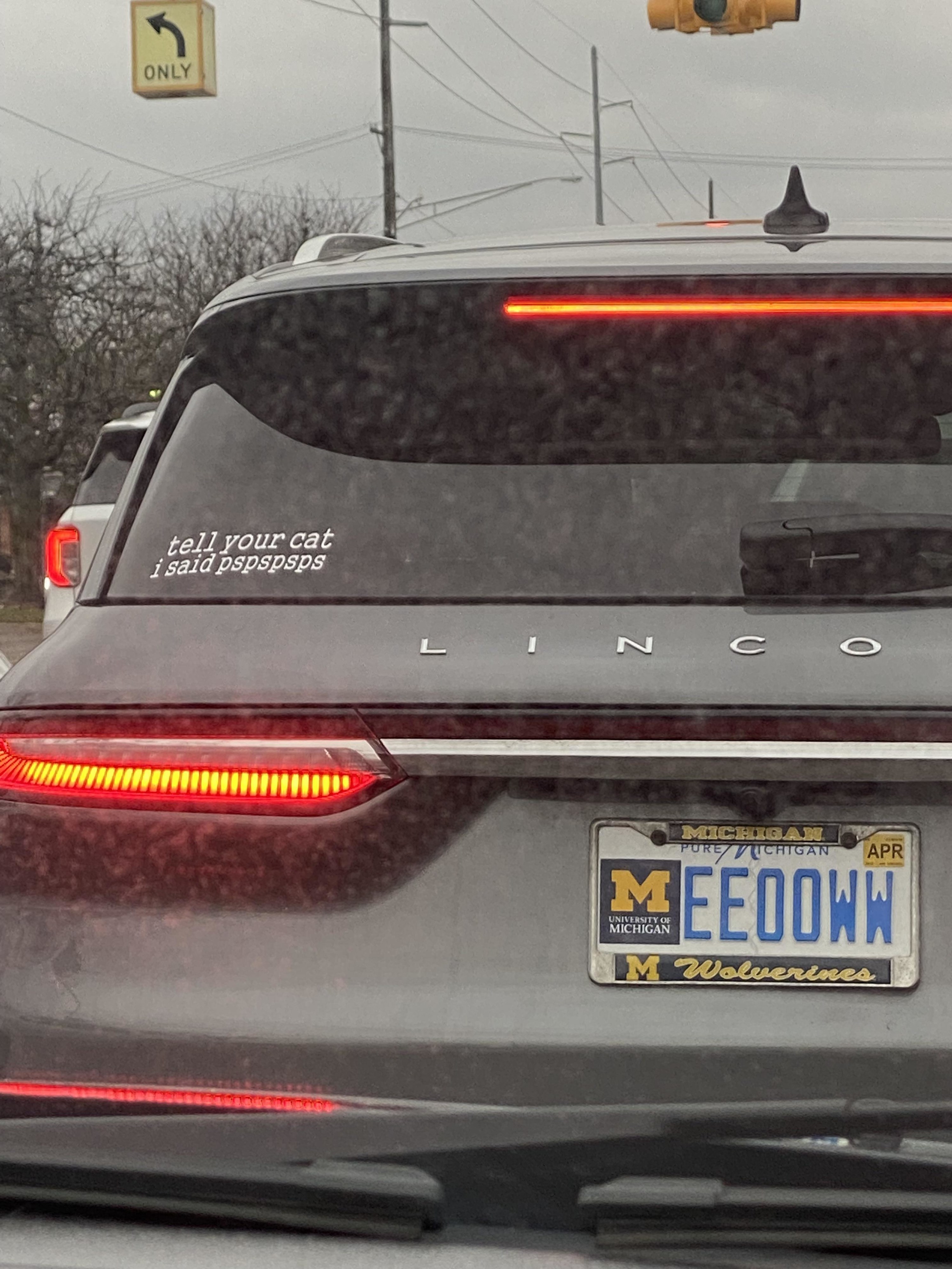 Car with license plate reading &quot;EEOOWW&quot;