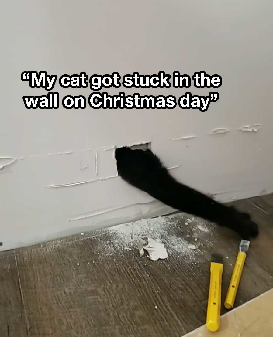 a cat tail coming out of a wall