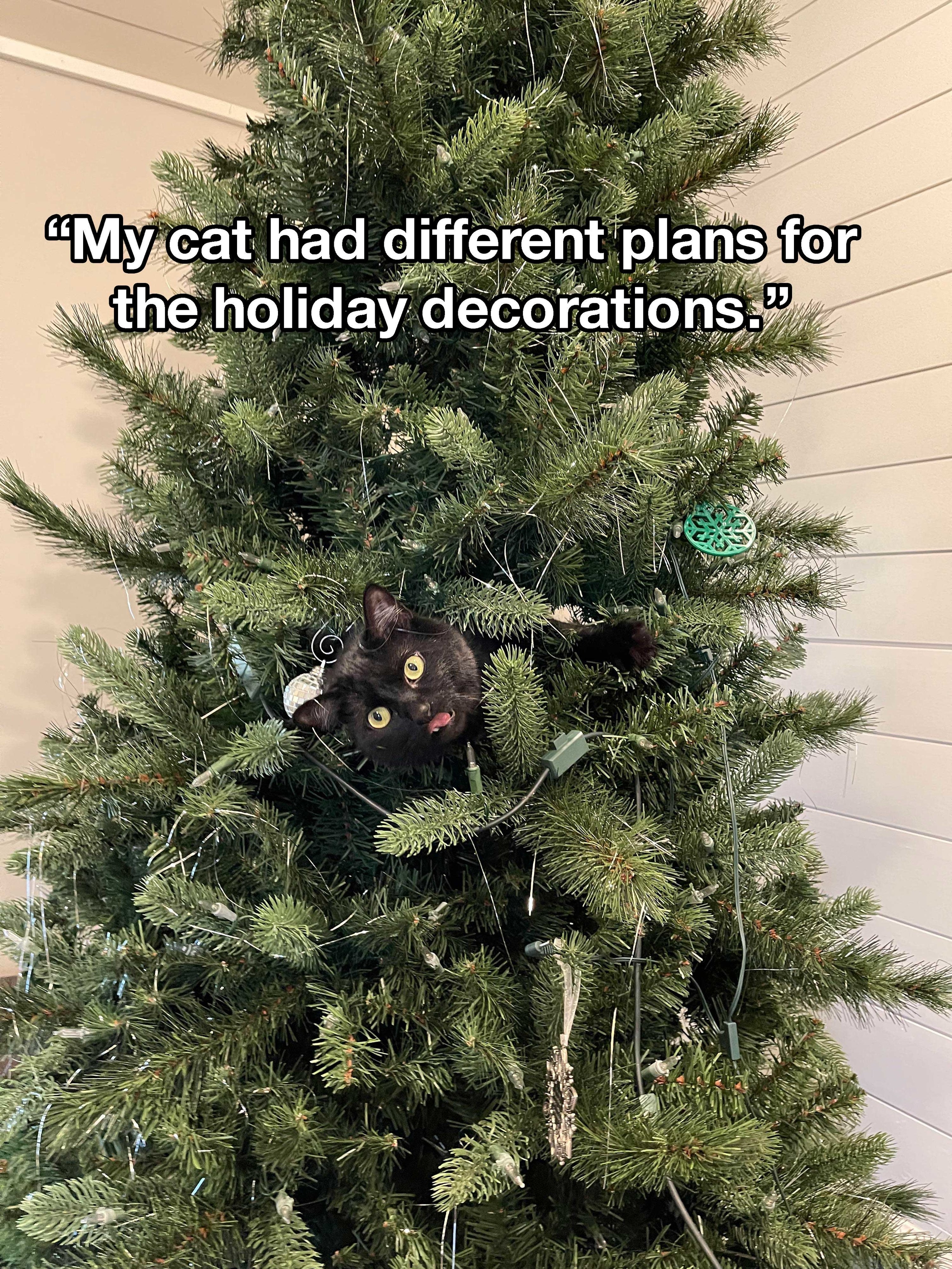 a cat sticking out of a Christmas tree and the words &quot;My cat had different plans for the holiday decorations&quot;