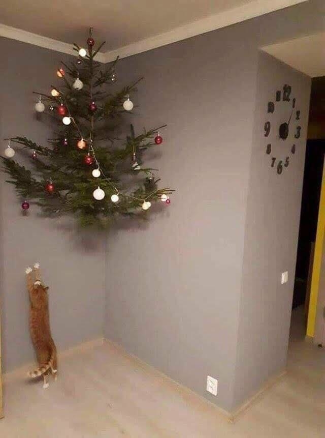 a Christmas tree suspended to the ceiling and a cat trying to reach it