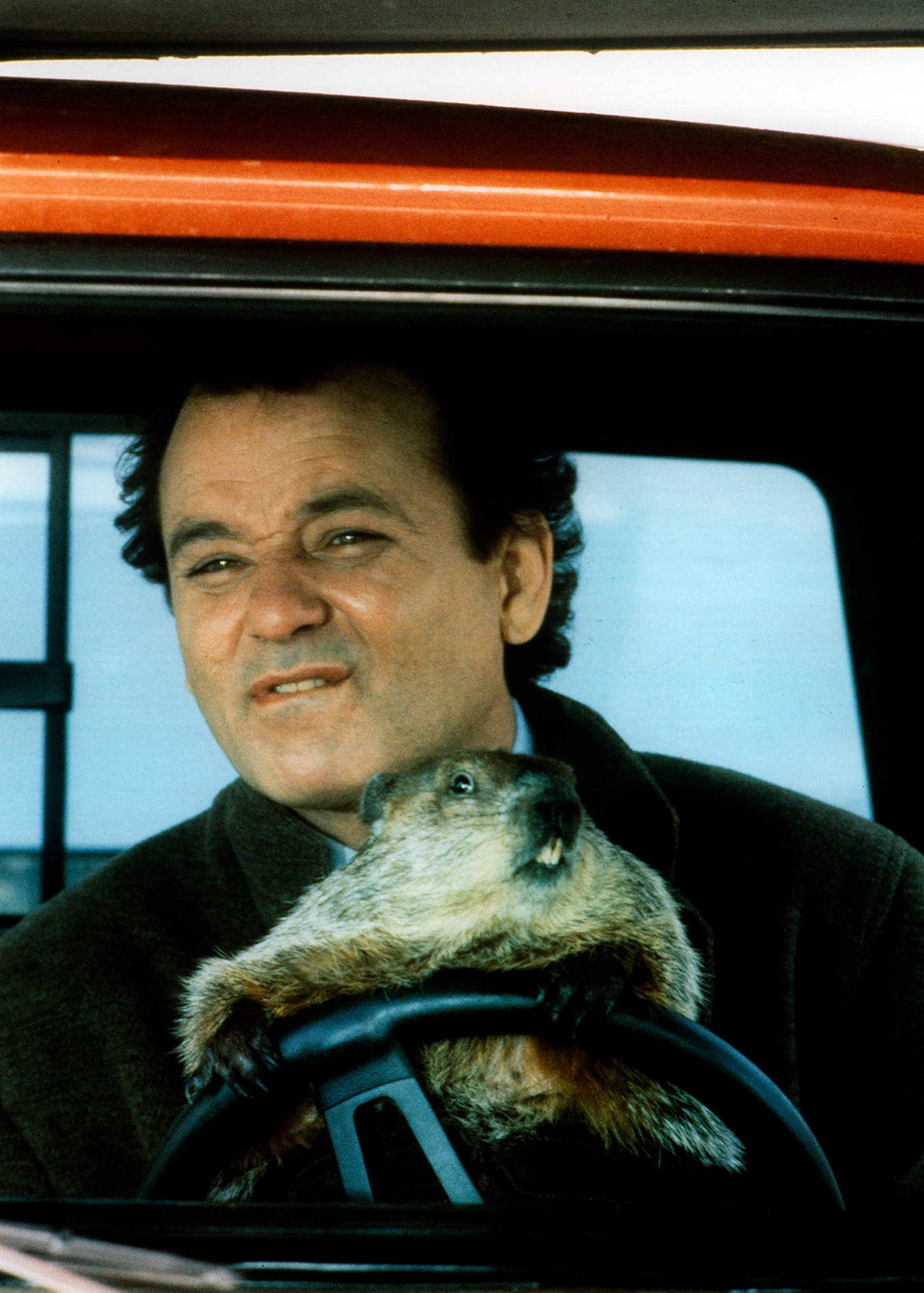 Bill Murray in a car with a groundhog