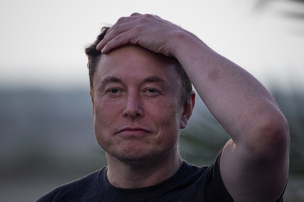 Twitter Owner Elon Musk Is Now A Fallout: New Vegas Bad Guy