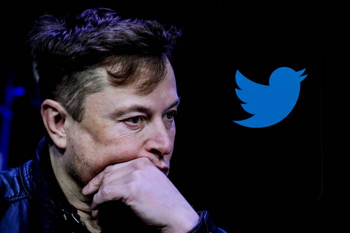 An image of Elon Musk displayed with Twitter logo